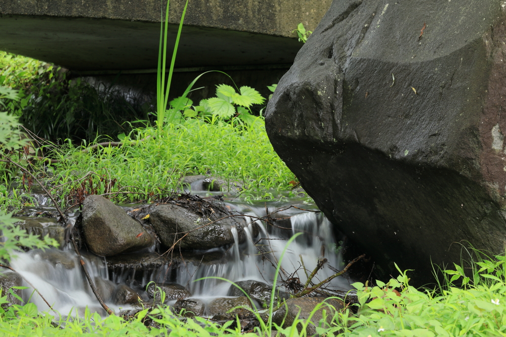 岩と水と緑と