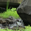 岩と水と緑と