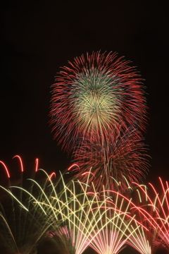 彩り咲く空の花