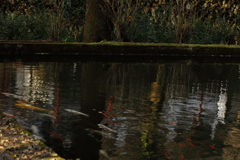 水辺にて 水辺にて