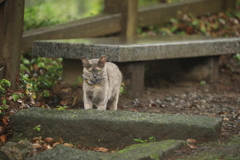 ベンチのそばにて