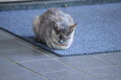 ここのが暖かいな
