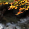 水の煌めきを受けて