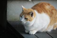 神社の玄関にて