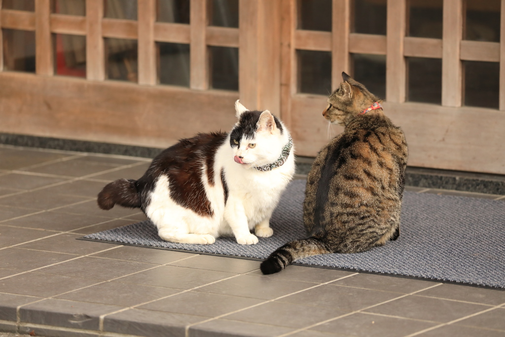 玄関の前にて
