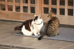 玄関の前にて