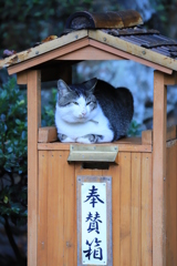 お気に入りの家