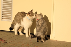 耳元でささやく 耳元でささやく