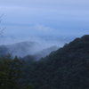 雲海