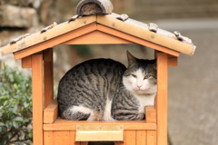 お宿の守り主