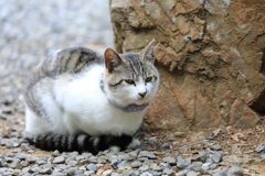 崖のそばにて