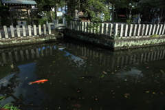 朝の静けさ