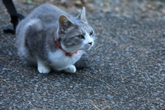 見とれる