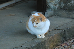 石段の上にて