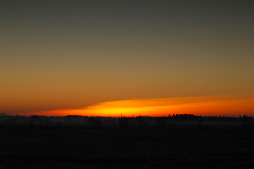 オレンジの風