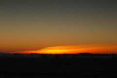 オレンジの風