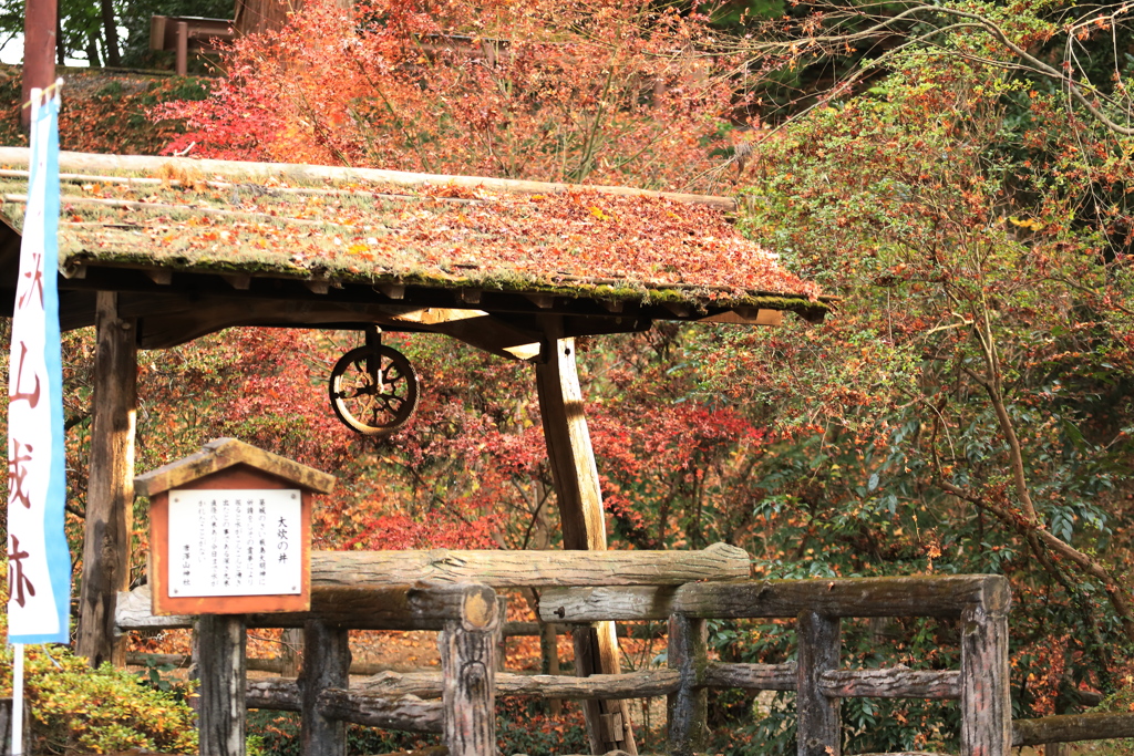 つるべ井戸と紅葉