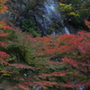 秋の向こうの滝