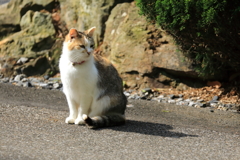 崖の前にて