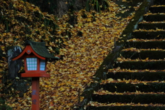 秋の終わりに