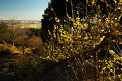 坂道の辺りで