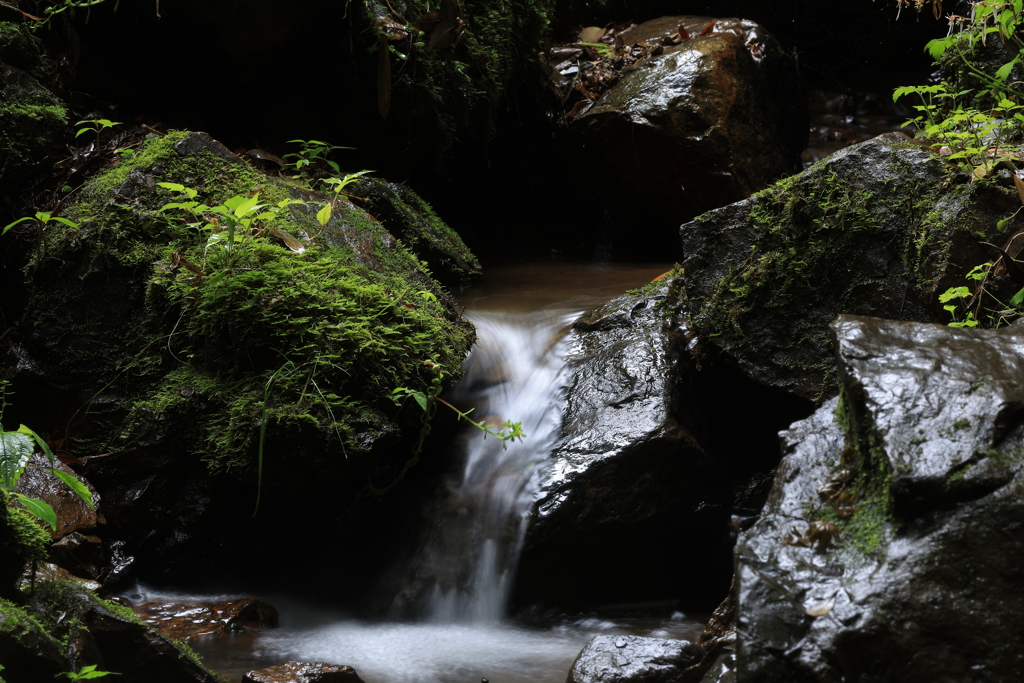 水のある風景