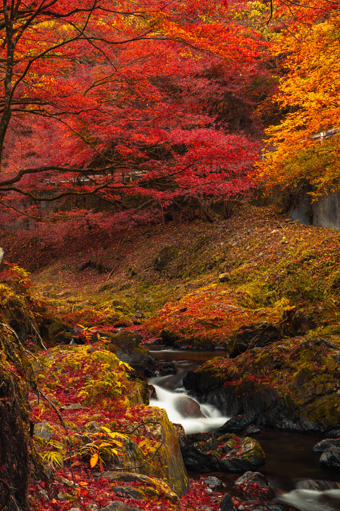 深いせせらぎ