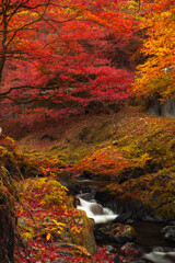 深いせせらぎ