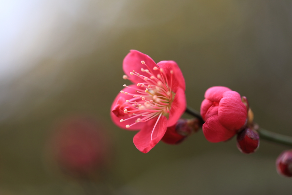 お日様に向かって