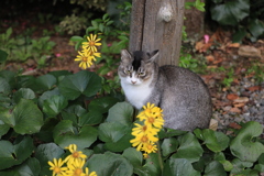 花に埋もれて