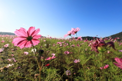 ひだまりの中で