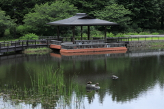 水に浮かぶ憩いの場