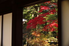 窓の向こうの秋