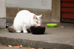 朝ごはん