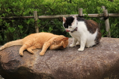 石の上にて