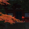 本堂にかかる秋