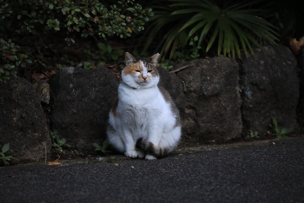 石垣の前にて
