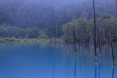 青い池