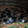水辺に浮かぶ枯葉