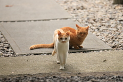 おい！どこへいく？