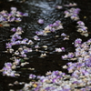 流されて