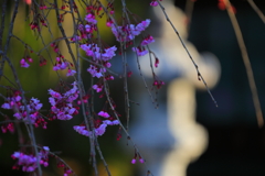 神社の彩り