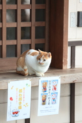 招き猫