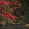 池の上の紅葉