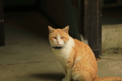 神社の敷地にて