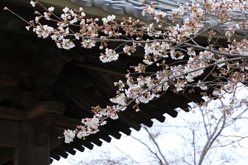 神社にて