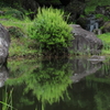 水と新緑
