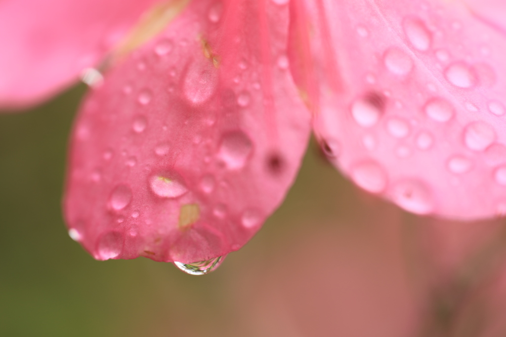 しずく　その２