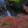 滝と紅葉