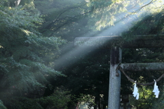 神降臨